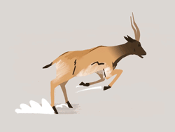 Gif animé antilope court